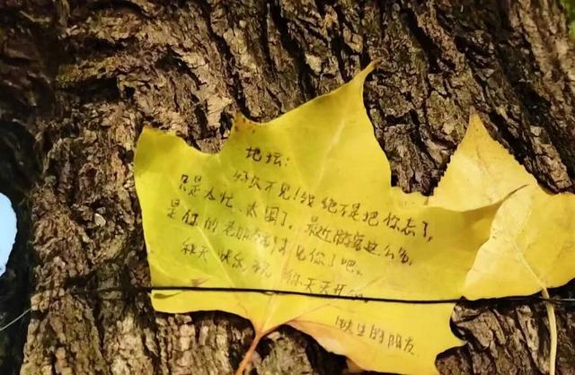 年轻人热衷在北京“访古寻迹”