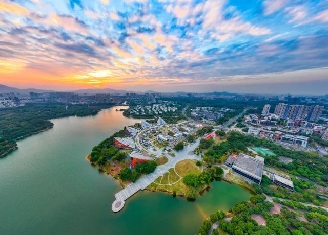 专家学者齐聚松山湖，共探东莞“一镇一品”文化品牌“出圈秘籍”