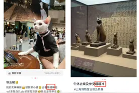古埃及最尊贵的猫竟长这样↗上海人大吃一惊：这不就是…图片