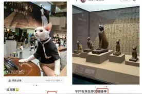 古埃及最尊贵的猫竟长这样↗上海人大吃一惊：这不就是…图片