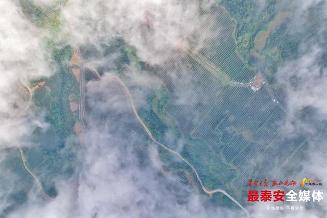 望岳美图丨秋霁笼旧县，云雾漫山生