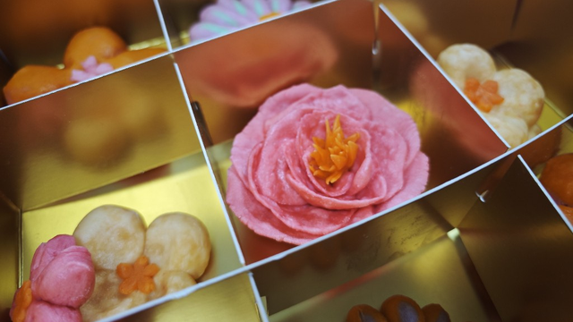 起猛了，我在洛阳被「牡丹」包围了！