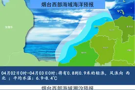 早安 烟台|烟台一地任命副市长图片