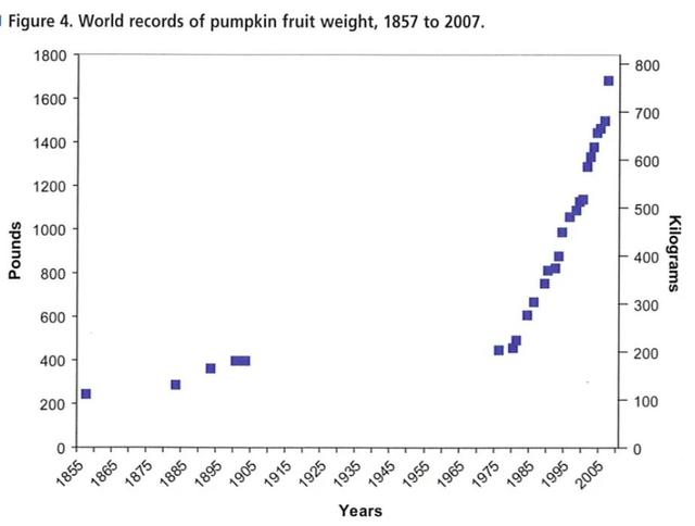 见过用南瓜做的船吗？真可以坐人的那种！没错，最大南瓜再次刷新记录