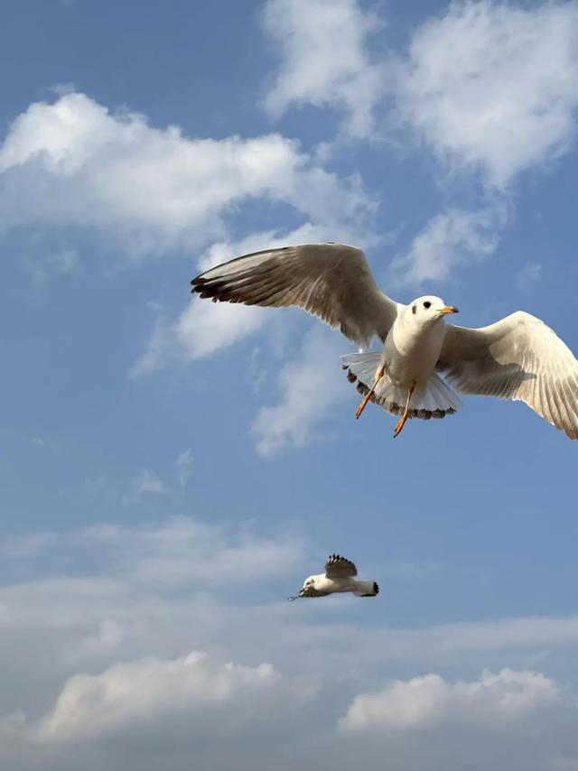 37岁大厂中层：部门被团灭，我花了7个月找工作