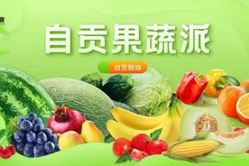 错过等一年！铁厂镇茨芭坳村“樱桃狂欢季”上线图片