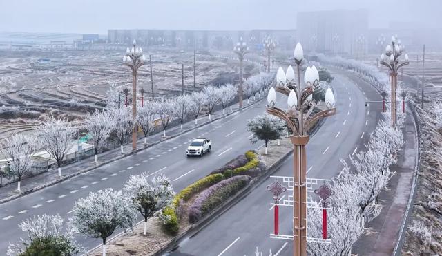 冬日限定！贵州的雾凇秘境藏不住了