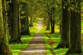 大宋状元|这个当了汉奸的状元，影响了后代求取功名进步几百年图片