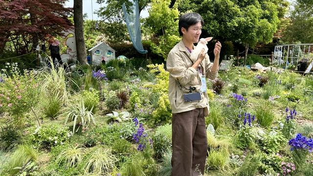 探秘上海花园节：40座梦幻花园临港绽放，一睹静谧自然之美