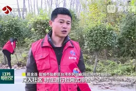 江苏全面开展加拿大一枝黄花清除工作图片