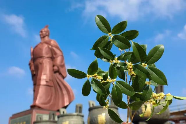 桂花飘香 商丘火神台景区开启秋日浪漫