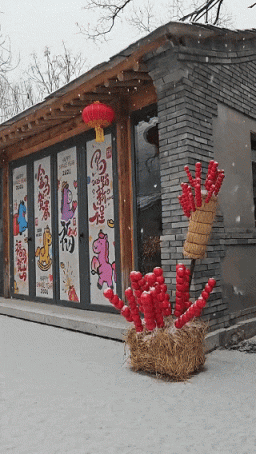 雪中的房山真美