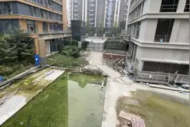 阳光政务丨遭遇开发商一房多卖 怎么办？图片