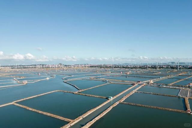 戒掉emo！来南日岛进行一次“精神离职”