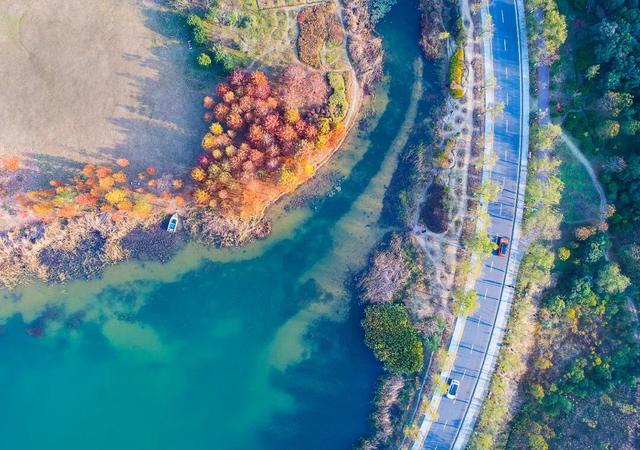 “双节”江苏省内自驾订单同比增长52%，自驾游客餐饮购物消费占比超五成