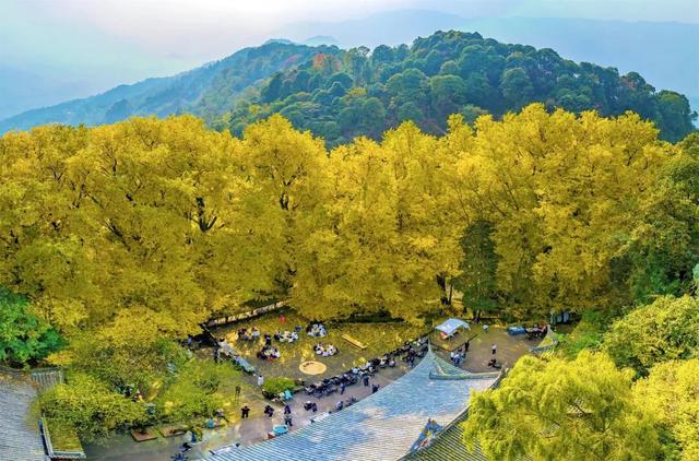 国庆中秋假期来名山，这些地方千万别错过！