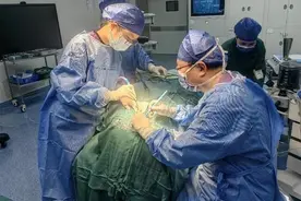 耳朵里的“心跳声”，原是搏动性耳鸣作祟图片