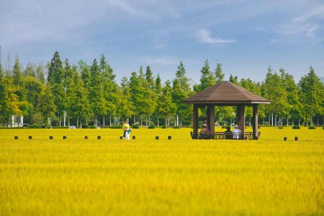 乡村·新玩法 |文旅消费场景焕新 寻找别样乡愁
