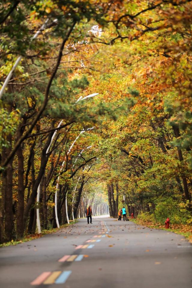 日照人的嘴是真严啊！这里都美成啥了！