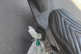 跑腿骑手送鳄鱼 半道发现是活的图片