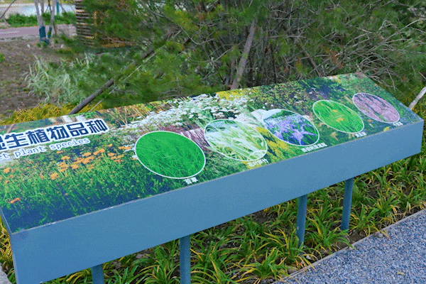 玉河湿地公园怎么玩儿？出片点位全攻略