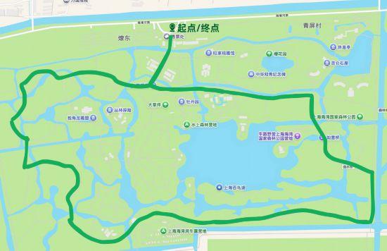 这三条慢跑路线，让你享受申城秋日风景