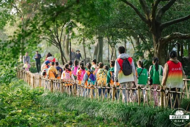 12.07 独立营｜冬日寻羽记：解码西湖候鸟的越冬密码！鸟类专家带队，探秘茅家埠“鸟类天堂”，体验听声辨鸟、飞羽寻踪的野趣周末！