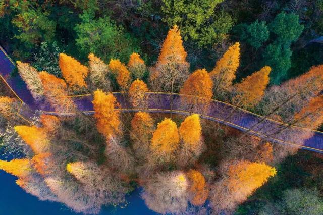 今天过节！这些景区对老年人有优惠、免票政策
