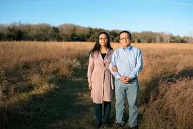 连线｜美国大选中的华裔困境：边缘化、寒蝉效应与觉醒反击图片