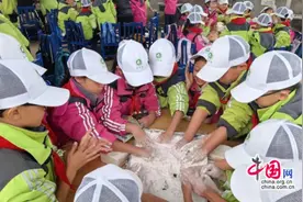 乐山柏杨小学：知行合一砺心智，劳动研学促成长图片