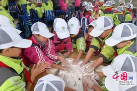 乐山柏杨小学：知行合一砺心智，劳动研学促成长图片