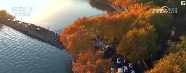 旅游计次票密集 “上新”！一票串联交通文旅 激活冬季消费新引擎