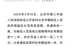 朝阳区原副区长范亮亮因受贿、串通投标获刑十二年半图片