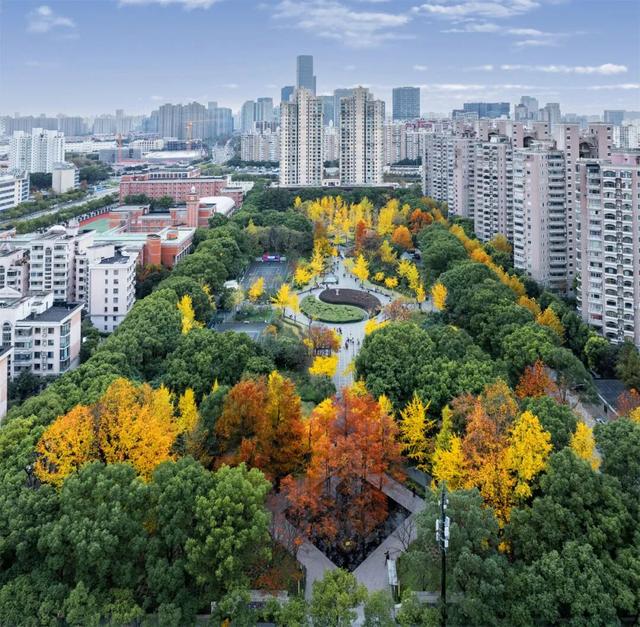 秋冬限定的普陀，美到让人流连忘返，你还不来打卡吗？