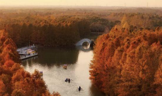 这三条慢跑路线，让你享受申城秋日风景