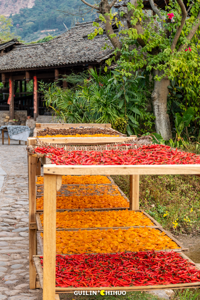 在桂林过大雪：暖汤、红柿、碧水…藏着南方冬日最惊艳的色彩