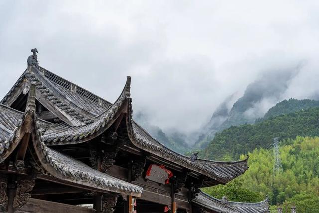 这座小城靠“香菇”火出圈！浙西南秘境，美食美景藏不住了
