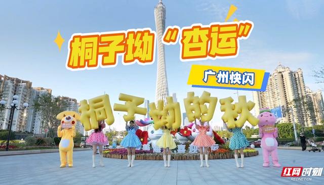 银杏树下开唱、足球场外快闪 桐子坳的秋为何让人们着迷？