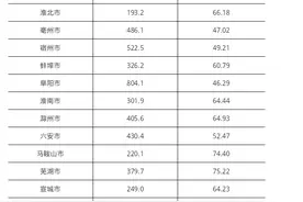 2024年末安徽省常住人口6123万人，合肥市人口超千万图片