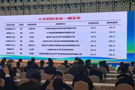 全国​十大好吃玉米，两种出自哈尔滨图片