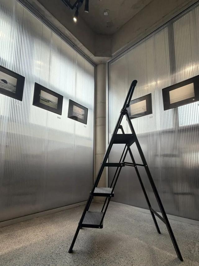 开在“亚洲花都”斗南的书店，真“香”