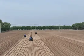 中央媒体看辽宁丨央广网：沈阳康平：沙地风口见“耕”新图片