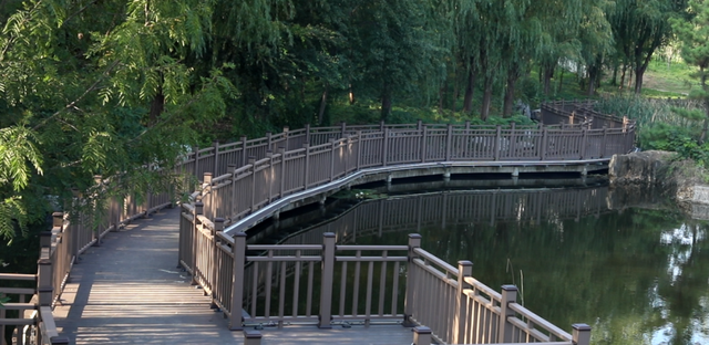 焕新归来！沂水东皋公园：四季有景夜有光 古塔生辉美出圈