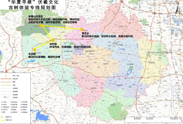 见过徐霞客，进过《山海经》，新密市有棵4000年奇树丨绿美河南有古树③