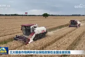 三大粮食作物两种农业保险政策在全国全面实施图片