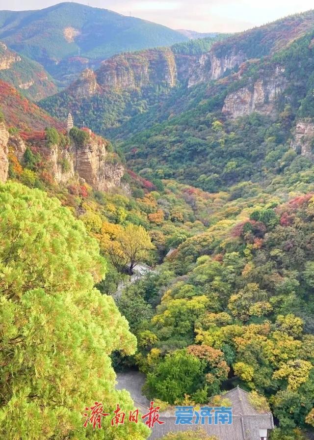 一城山色·泉城绿道 | ③大千佛山片区及周边景区绿道连通惠及广大市民