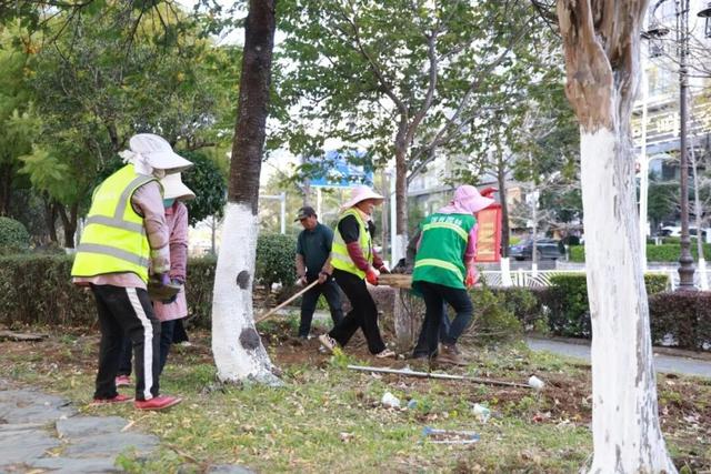 又添一条樱花大道 大理三月好风光