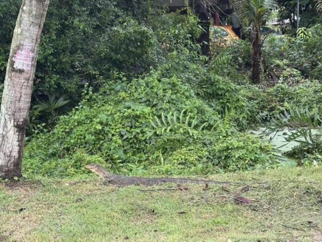 从泰南到泰北，有日常温度，也有文化深度