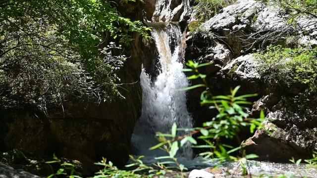 一卷山水，一味乡愁｜辞家千里的漳县儿女，你的行囊里装着整个故乡