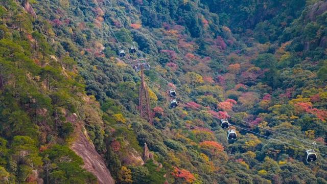 出片率100%！黄山风景区进入最佳赏秋期